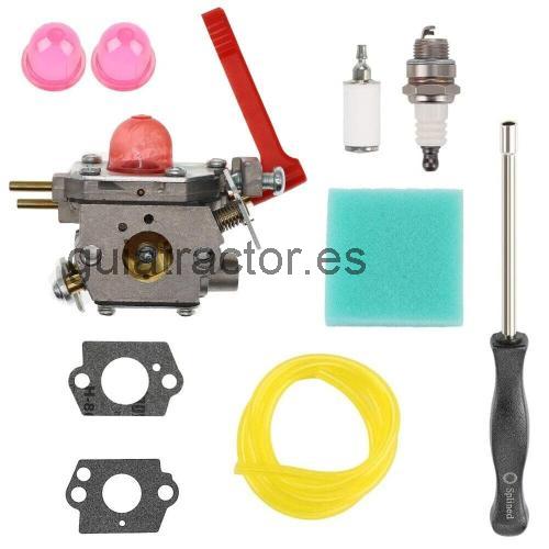 Snapper 7800957 opinión y ficha técnica