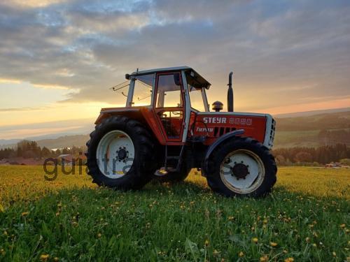 Steyr 8080 opinión y ficha técnica